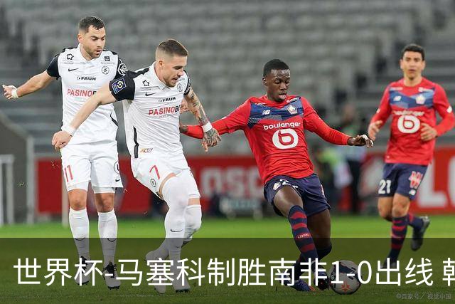 世界杯-马塞科制胜南非1-0出线 韩国积3分获小组第三待定