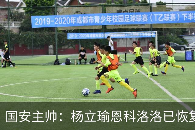 国安主帅：杨立瑜恩科洛洛已恢复 球队有很多要提升的地方