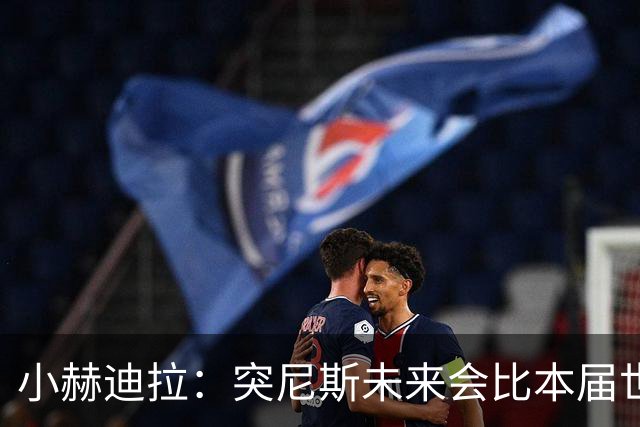 小赫迪拉：突尼斯未来会比本届世界杯更好 批评？我已经付出全力