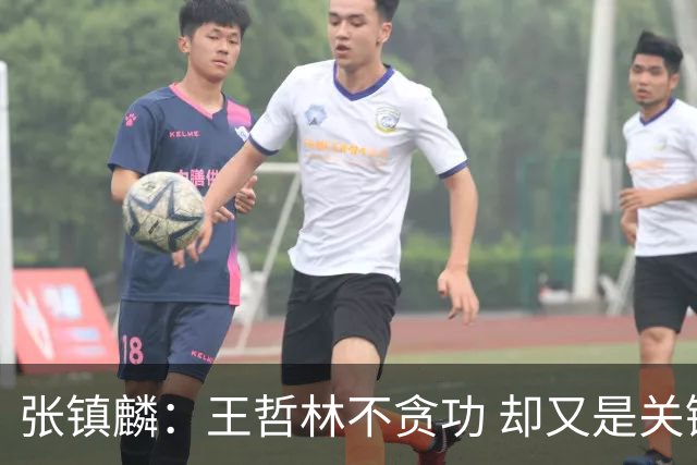 张镇麟：王哲林不贪功 却又是关键时刻能站出来的人 队长当之无愧