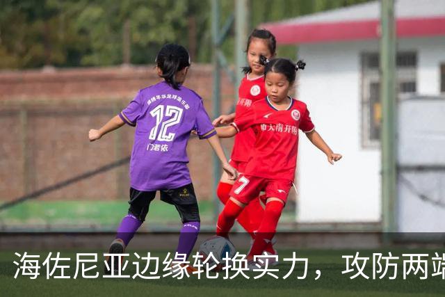 海佐尼亚边缘轮换实力，攻防两端短板明显，骑士还需寻找靠谱锋线