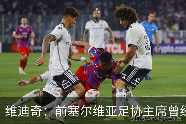 维迪奇：前塞尔维亚足协主席曾经招揽社会闲散人员跟踪我、袭击我