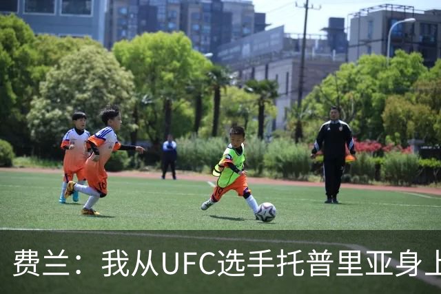 费兰：我从UFC选手托普里亚身上获得了激励，挺过了职业低谷期