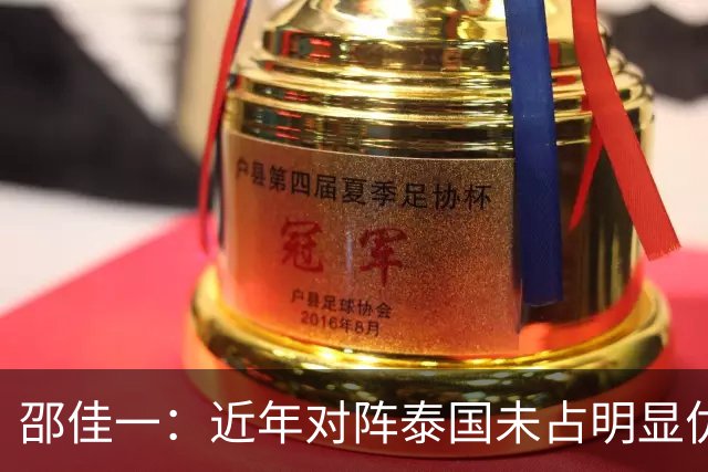 邵佳一：近年对阵泰国未占明显优势 国家队无友谊赛